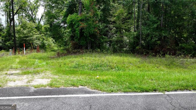 0 Boiling Springs Rd, Home with 0 bedrooms, 0 bathrooms and null parking in Soperton GA | Image 16