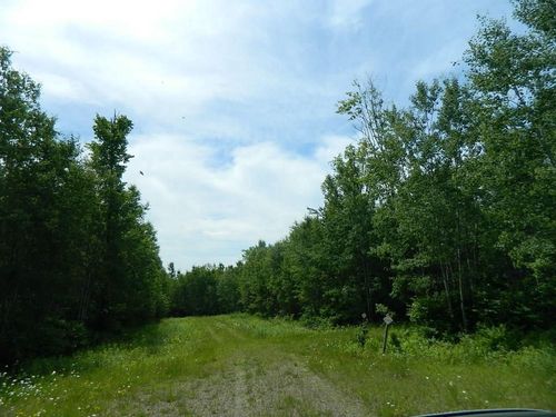 L10 &amp; L11 Northern Shores Way, OJIBWA, WI, 54896 | Card Image