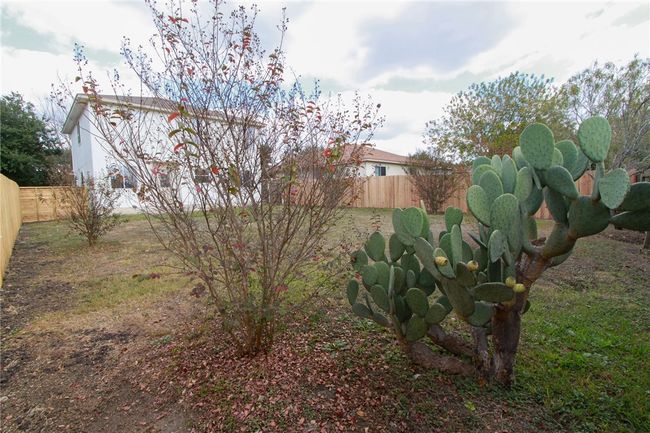 14909 Chamberlain Ct, House other with 3 bedrooms, 3 bathrooms and 4 parking in Austin TX | Image 36