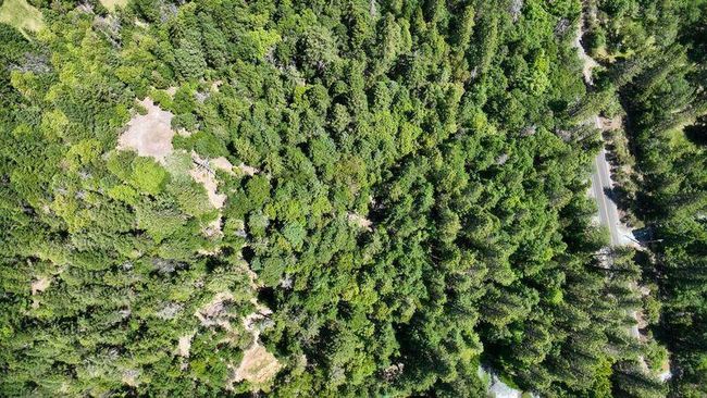 14 Lower river | Image 14