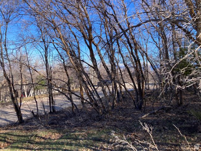 View of landscape | Image 14