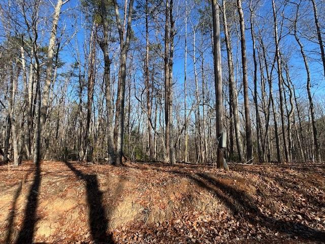 Land in Dawsonville 3