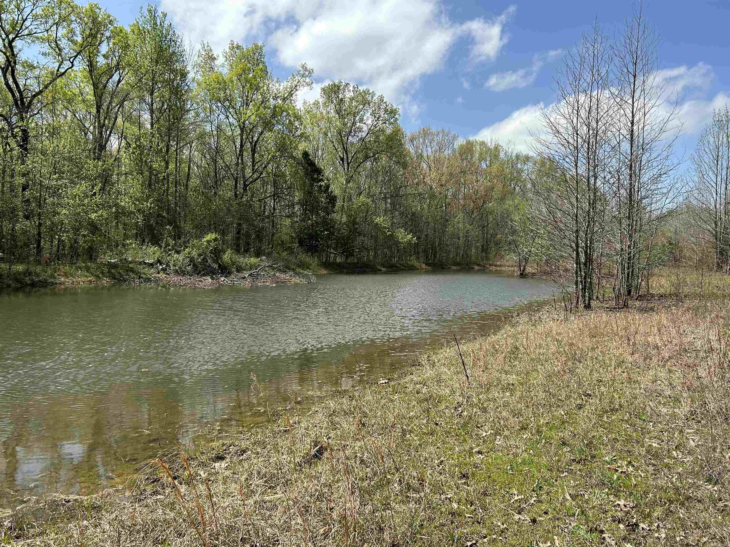 Center Point Loop, Vilonia, AR 72173 #1