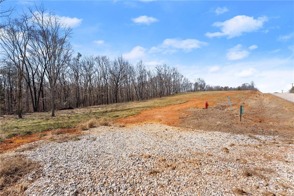 Land in Carnesville 2