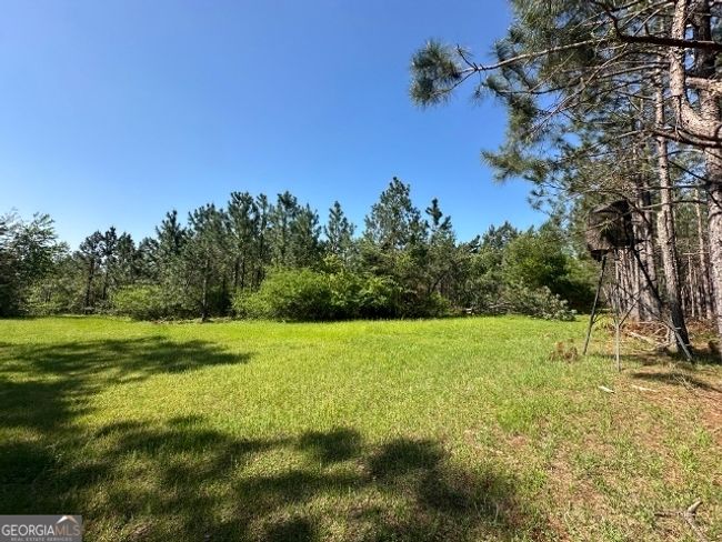 0 Sardis Church Rd, Home with 0 bedrooms, 0 bathrooms and null parking in Kite GA | Image 5