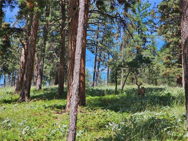44625 Wild Horse Island Ln, House other with 2 bedrooms, 1 bathrooms and null parking in Dayton MT | Image 128