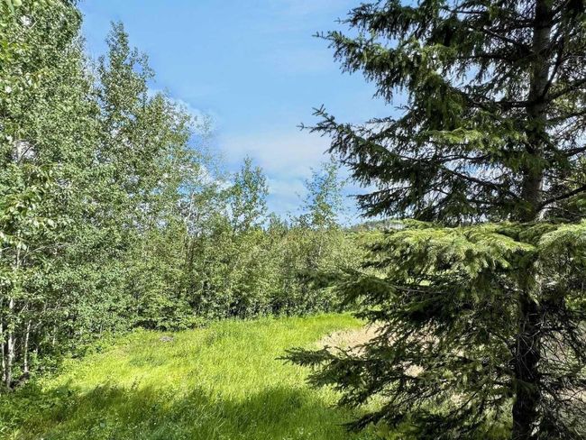 57 Poplar Cres, House other with 3 bedrooms, 2 bathrooms and 6 parking in Gregoire Lake Estates AB | Image 38