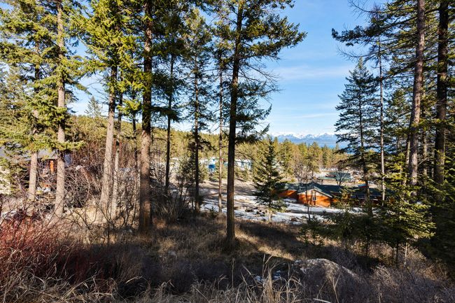 393 Skookum Rd, Home with 0 bedrooms, 0 bathrooms and null parking in Lakeside MT | Image 5