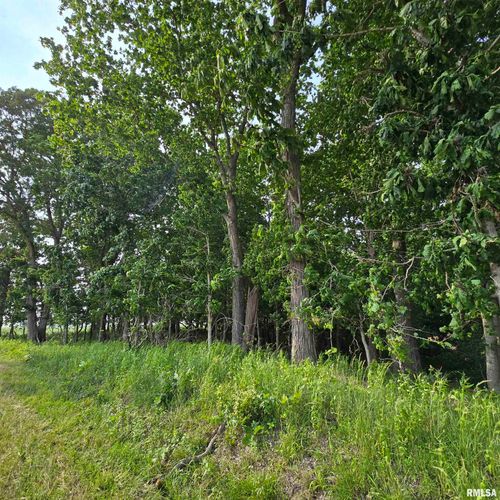 000 Wilson Rd, Kinmundy, IL, 62854 | Card Image