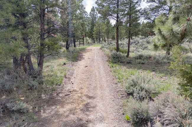 6325 Vista Grande Rd, House other with 5 bedrooms, 4 bathrooms and null parking in Helena MT | Image 11