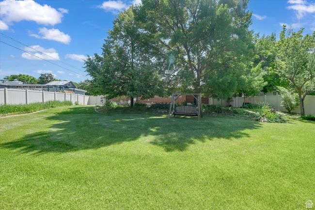 View of yard | Image 34