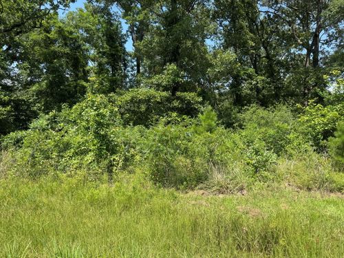 0 Willow Oak Ln, Pointblank, TX, 77364 | Card Image