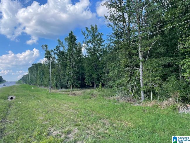 6358 State Highway 129, House other with 3 bedrooms, 1 bathrooms and null parking in Winfield AL | Image 16