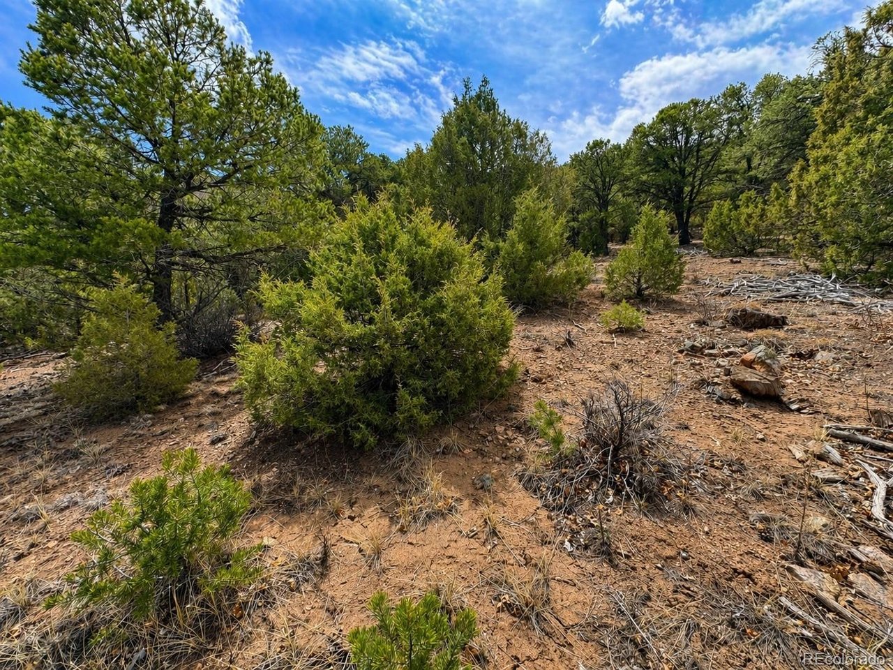 Land in Texas Creek 5