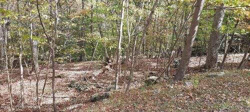 Lot 8 Sec 24 Creek Rd, Bushkill, PA, 18324 | Card Image