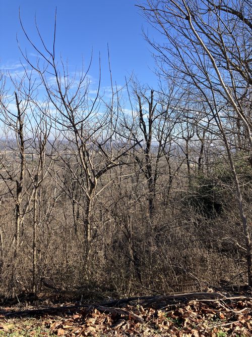 1200 Longstreet Cir, Brentwood, TN, 37027-6506 | Card Image