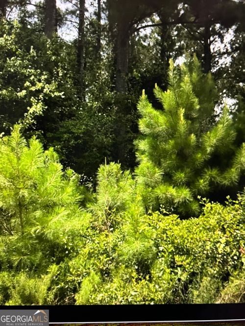 0 No Assigned Address, Denton, GA, 31532 | Card Image