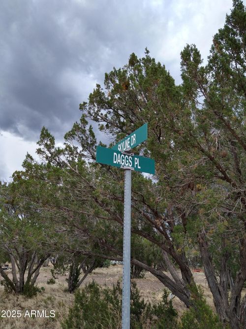 29-1827 Daggs Pl, Show Low, AZ, 85901-4216 | Card Image