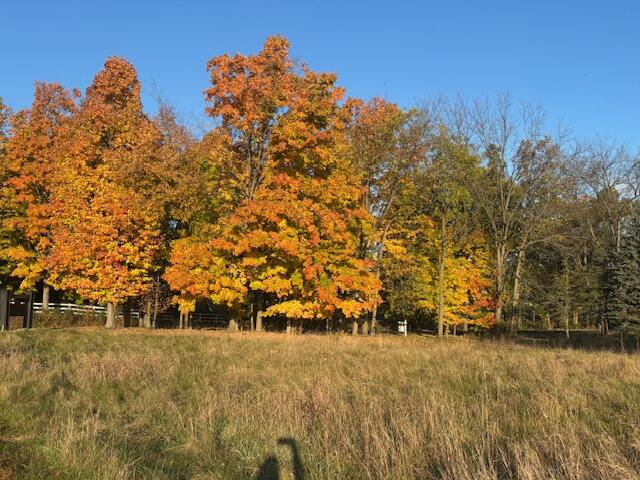 Land in Kalamazoo 3