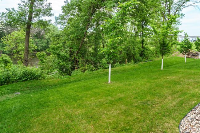 Backyard | Image 37