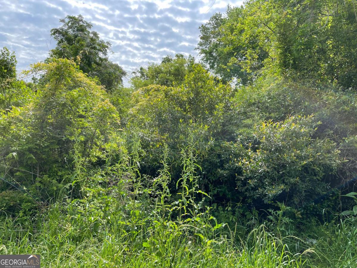 Land in Vidalia 3