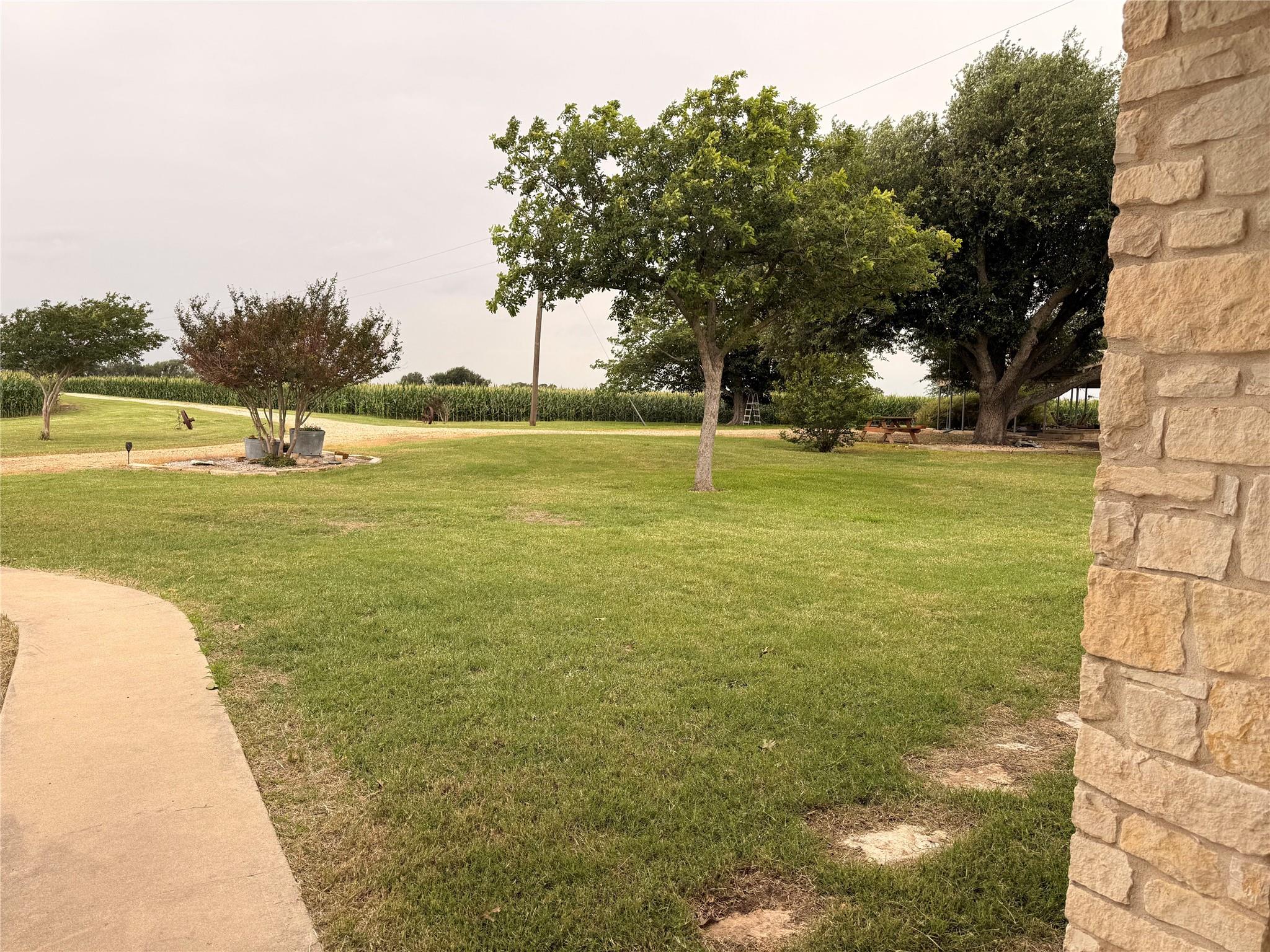 Residential Lease in Coupland 4