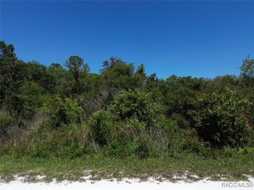 33455 Berryhill Dr, Webster, FL, 33597-9418 | Card Image