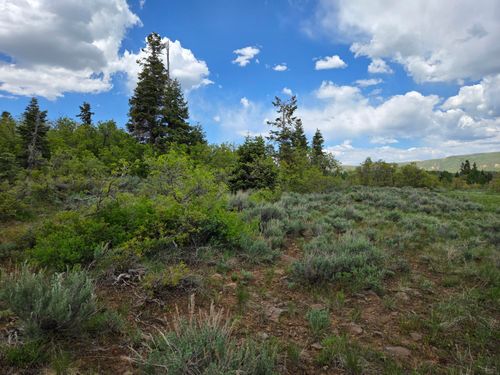 LOT 10 Spring Dr, Virgin, UT, 84779 | Card Image