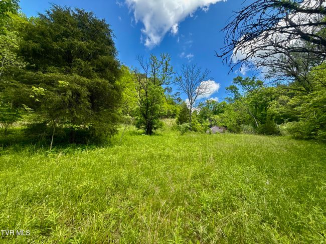 47 Tbd Enoch Rd, Home with 0 bedrooms, 0 bathrooms and null parking in Eidson TN | Image 8