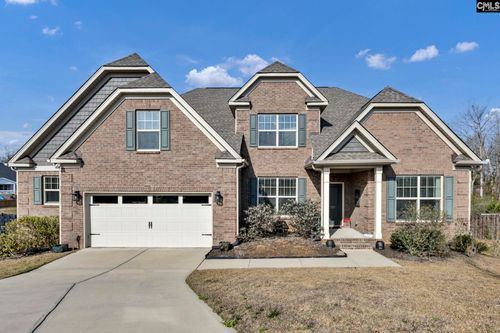 125 Chapin Creek Ct, Chapin, SC, 29036-6910 | Card Image