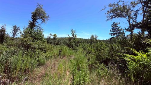 TBD County Road 372, Winona, TX, 75792 | Card Image