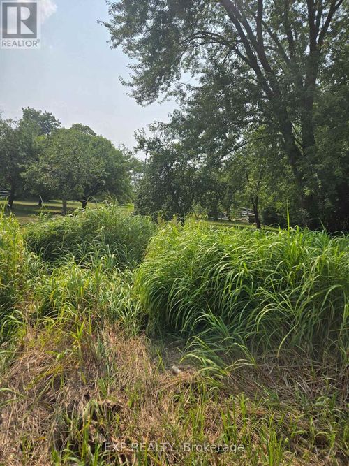 N/A Metro Road N, Georgina (Historic Lakeshore Communities), ON, L4P3C8 | Card Image