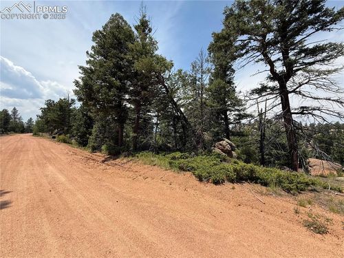 3546 N Mountain Estates Rd, FLORISSANT, CO, 80816-8959 | Card Image