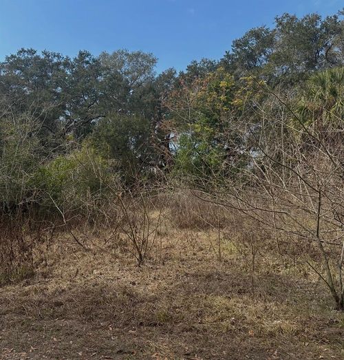 16644 Se 134th Ter, Weirsdale, FL, 32195-2948 | Card Image