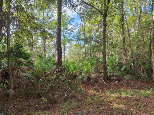 201 Pineway West Ave, Satsuma, FL, 32189-2131 | Card Image