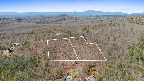40A Synacia Dr, Mineral Bluff, GA, 30559 | Card Image