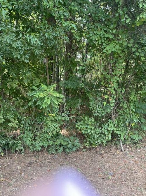 lot 398 Little River Dr, Eatonton, GA, 31024 | Card Image