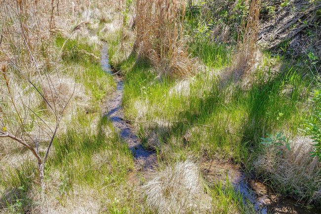 flowing natural spring feeds 4 ponds | Image 10