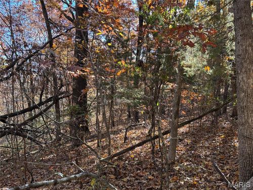 10450 Oakwood Rd, Potosi, MO, 63664 | Card Image