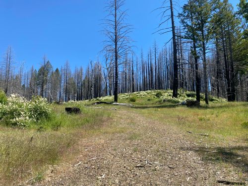 6919 Zenia Lake Mountain Rd, Zenia, CA, 95595 | Card Image