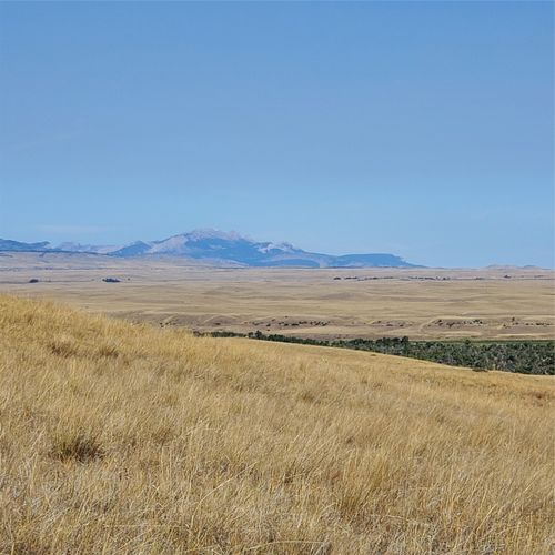 7830 N Spruce Dr, Augusta, MT, 59410 | Card Image