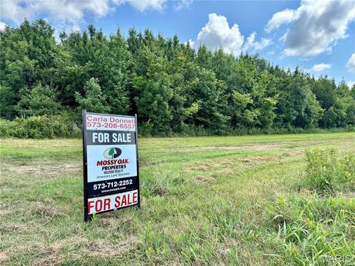 631 Cr 614, Broseley, MO, 63932 | Card Image