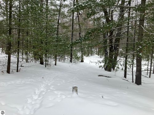 VL Wilderness Circle, Alger, MI, 48610 | Card Image