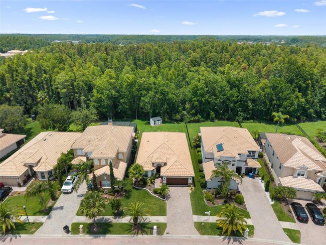 10880 Cory Lake Dr, House other with 3 bedrooms, 2 bathrooms and null parking in TAMPA FL | Image 8