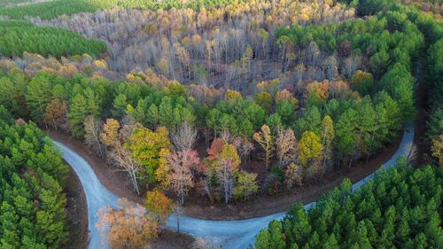 0 Sassafras Stand Ridge Rd, Linden, TN, 37096 | Card Image