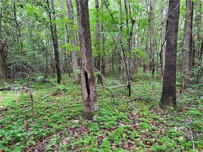 0 N Old Pendleton Rd, Home with 0 bedrooms, 0 bathrooms and null parking in Easley SC | Image 7