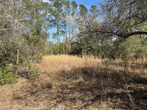 TBD 198th Trl, O Brien, FL, 32071 | Card Image