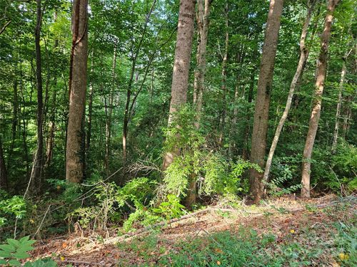 31-00 General Griffith Cir, Rutherfordton, NC, 28139 | Card Image