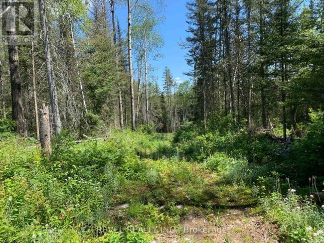 PCL8547 Hwy 101 Highway W, Home with 0 bedrooms, 0 bathrooms and null parking in Timmins (MTJ - 101 West) ON | Image 32