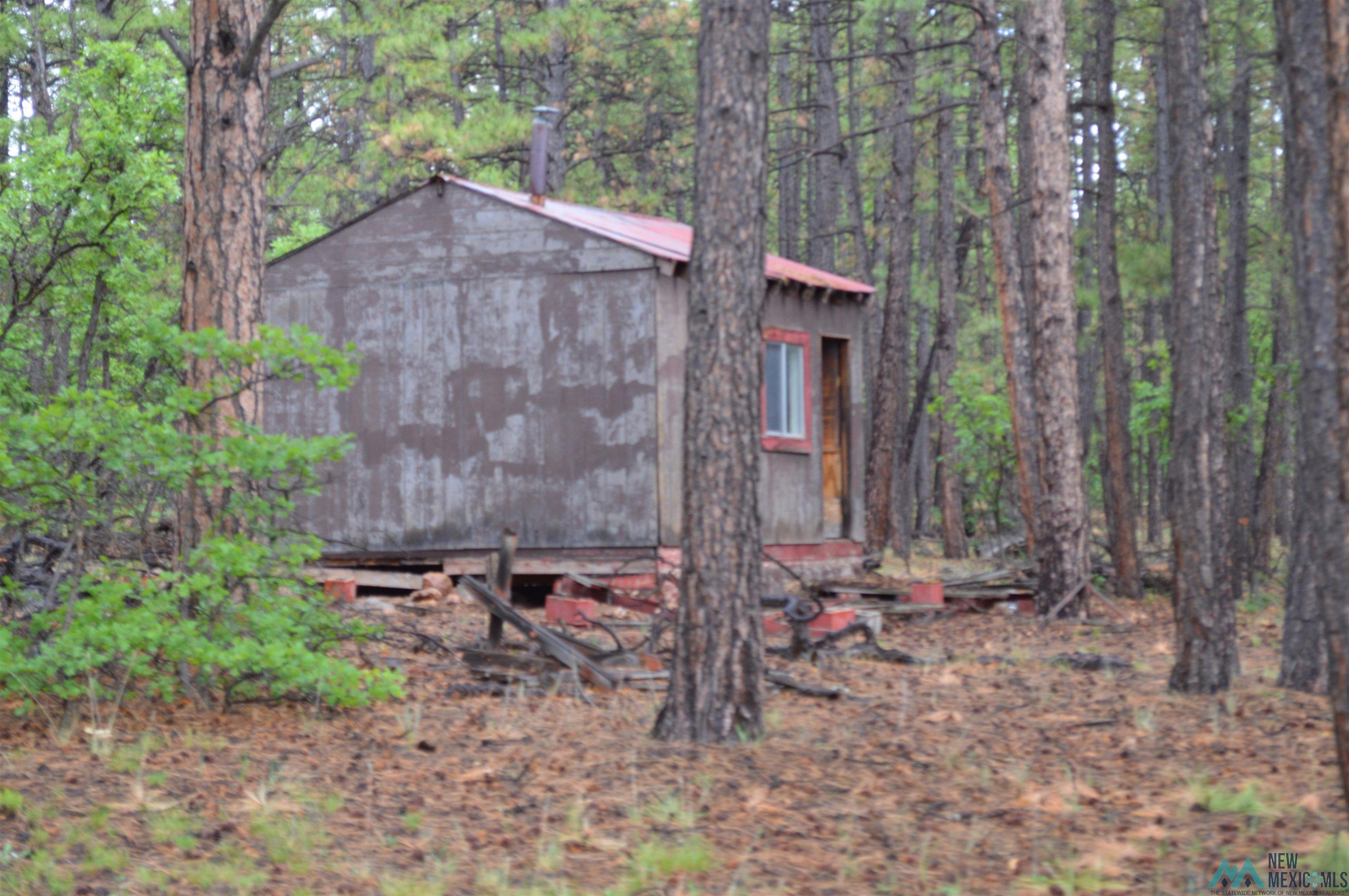 Land in Mcgaffey 3